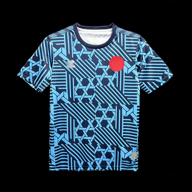 Denmark Training Shirt 23-24