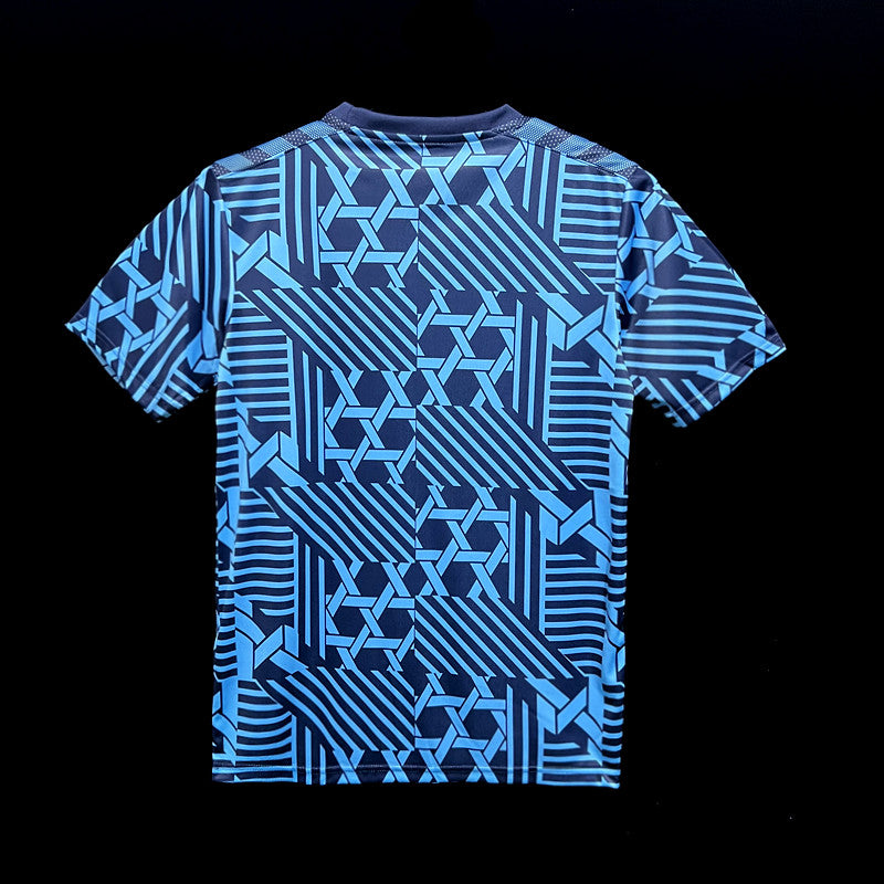 Denmark Training Shirt 23-24