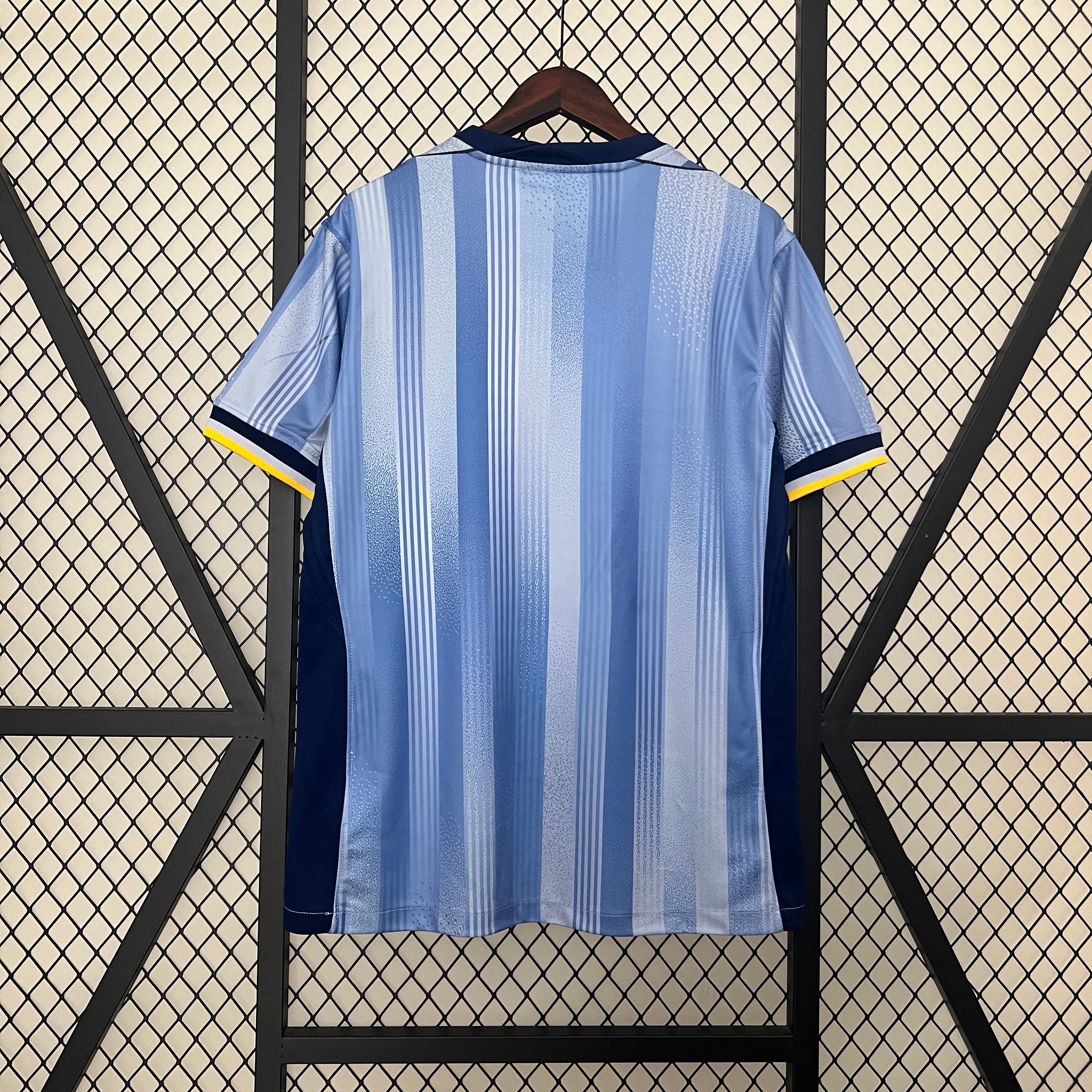 Camiseta 24/25 Tottenham away S-4XL