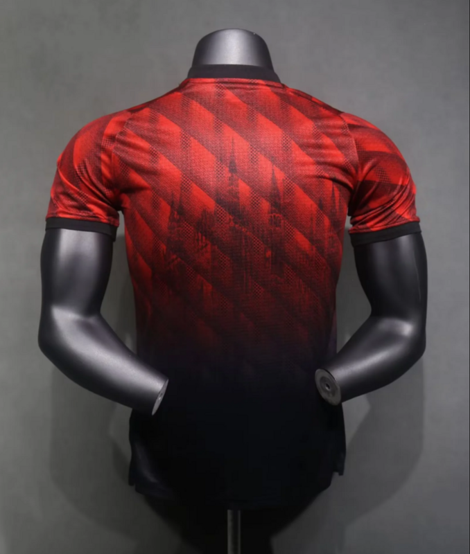 Camiseta 24-25 AC milan Cathedral Special Player version S-3XL